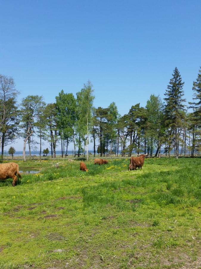 Ranna Villa Farm Kudema 外观 照片