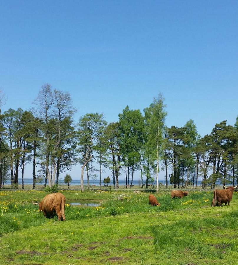 Ranna Villa Farm Kudema 外观 照片